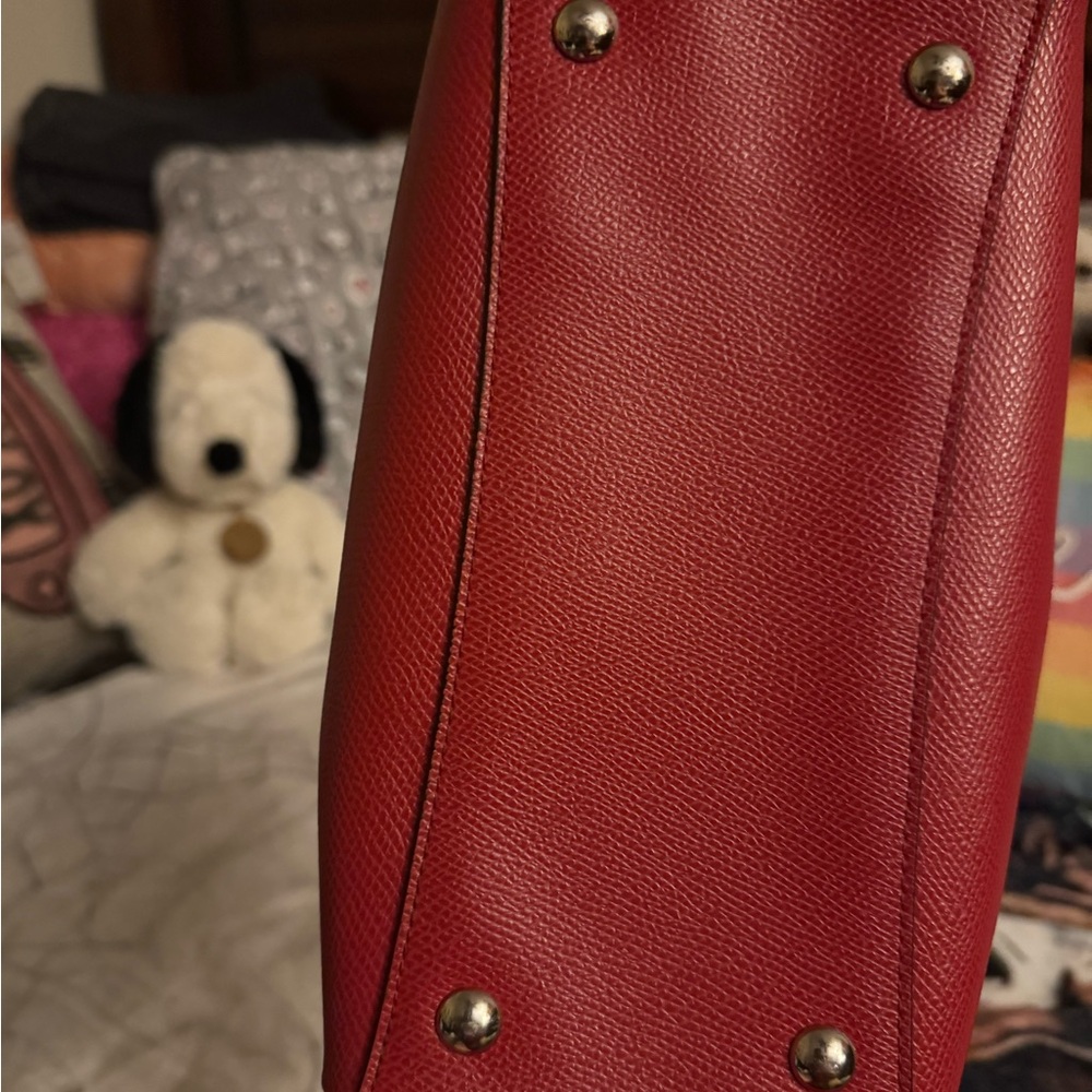 Peanuts/Snoopy Mini Bennett - Picture 7 of 11